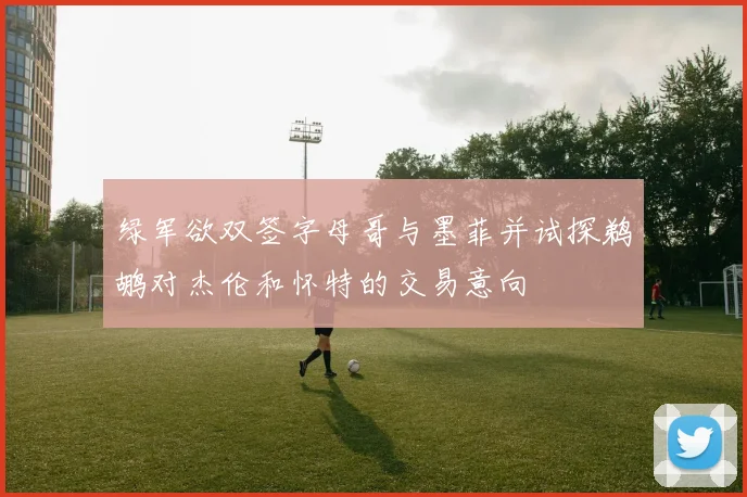 绿军欲双签字母哥与墨菲并试探鹈鹕对杰伦和怀特的交易意向